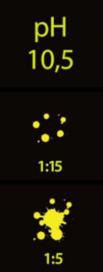 Средство для химчистки салона автомобиля Börger «New Salon» ОПТ фото 3