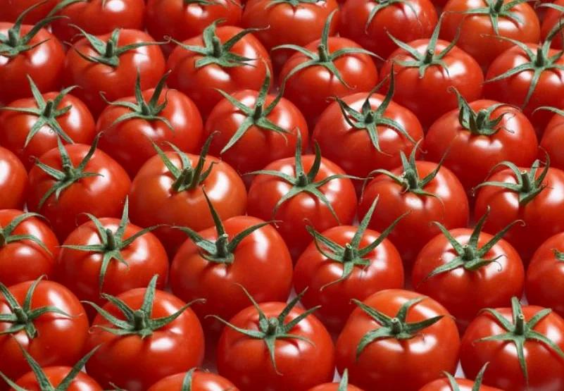 Семена томата Азия 616 F1 «NongWoo Bio C.O., LTD» 1000 семян ОПТ фото 1