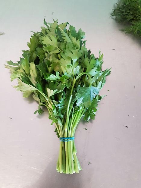 Петрушка свежая Alice Garden весовая ОПТ фото 1