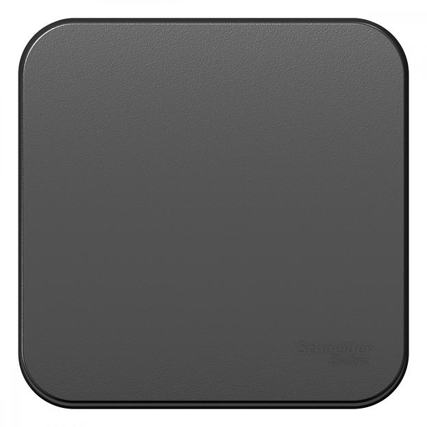 Systeme electric BLNVA101016 BLANCA О/У 1-клавишный ВЫКЛЮЧАТЕЛЬ ( c х.1) ИЗОЛ.ПЛ., 10А, 250B, АНТРАЦИТ фото 1