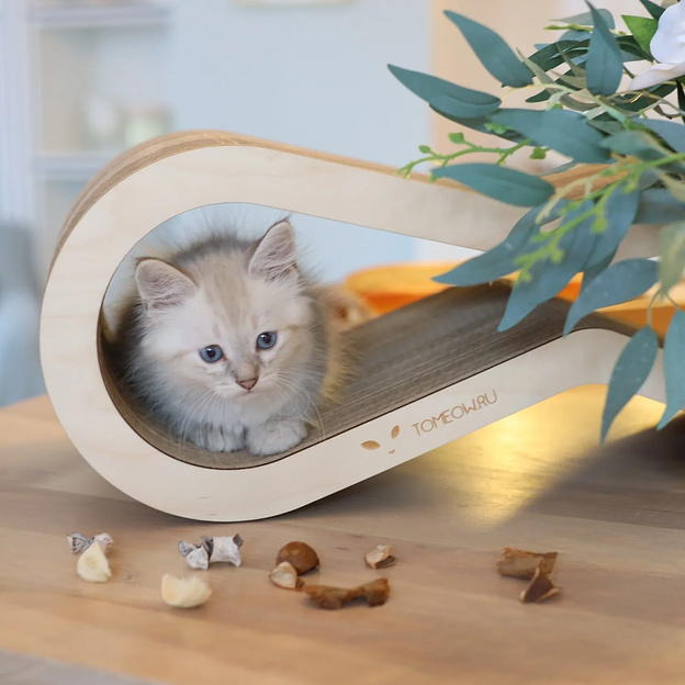 Когтеточка Тумяу «Экватор» с деревянным ободком, Premium, светлое дерево, опт фото 3