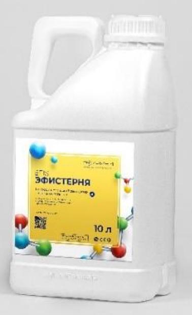 Деструктор «Эфистерня» фото 1