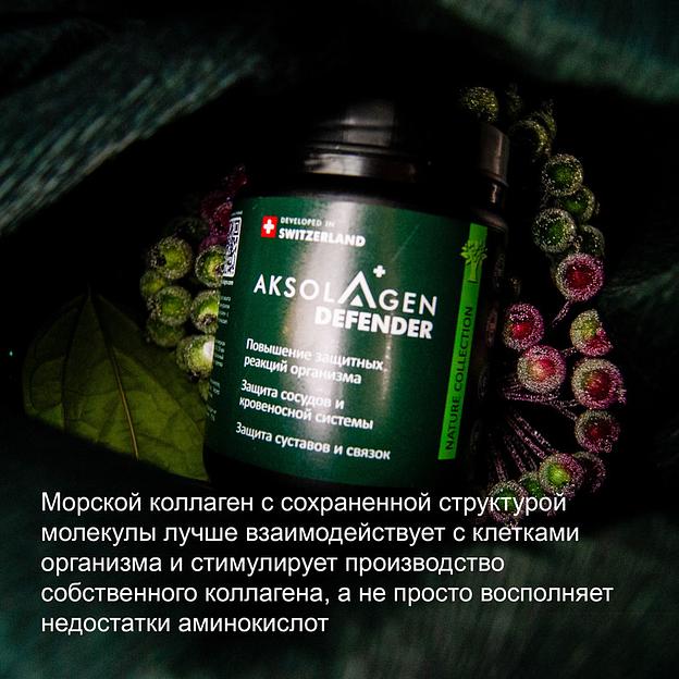 Неденатурированный Морской коллаген II типа с экстрактом чаги «Aksolagen defender» фото 5