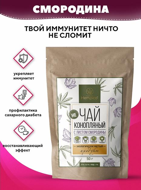 Травяной сбор Hempico «Не чай» конопляный с листом смородины 50 г ОПТ фото 1