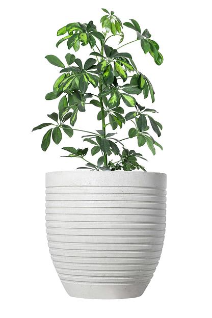 Цветочный вазон СтаркБет «Иберис средний» 32 л ОПТ фото 5