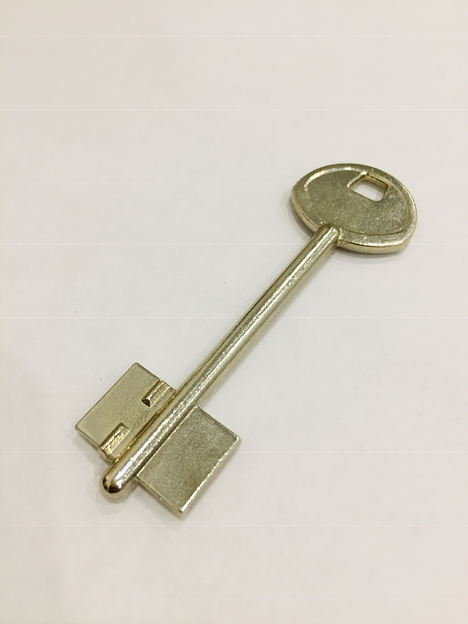 Заготовка ключа Гардиан 1 фото 1