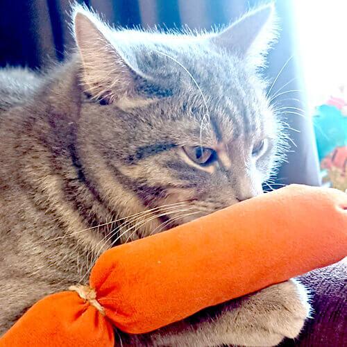 Игрушка для кошек Сосиска (комплект 5шт) ОПТ фото 2