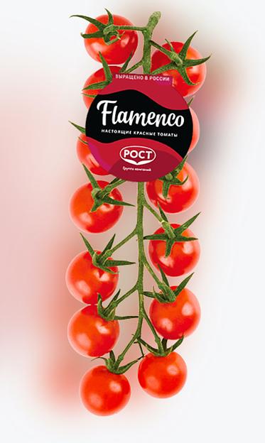 Томат черри премиум красный Фламенко лоток 250 г ОПТ фото 4