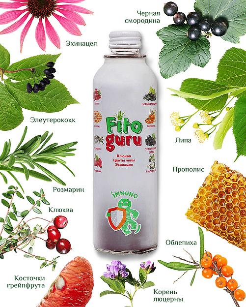 Напиток сокосодержащий «Fitoguru Immuno», Ключква, цветы липы, эхинацея, 280 мл, опт фото 1