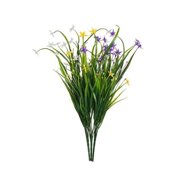 Птицемлечник, В500, в ассортименте фото 1