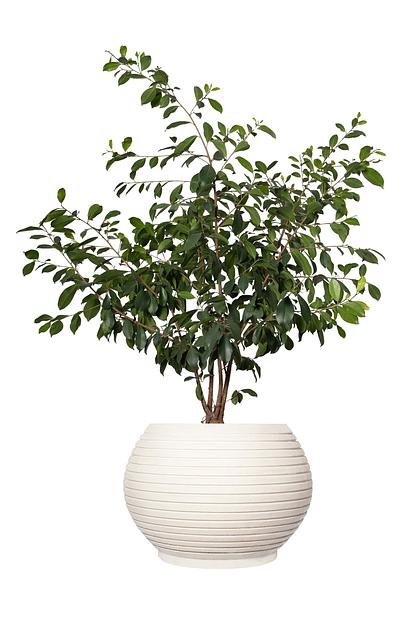 Цветочный вазон СтаркБет «Датура средняя» 9 л ОПТ фото 3