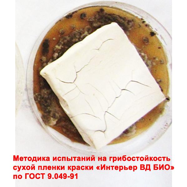 краска Интерьер ВД БИО фото 2