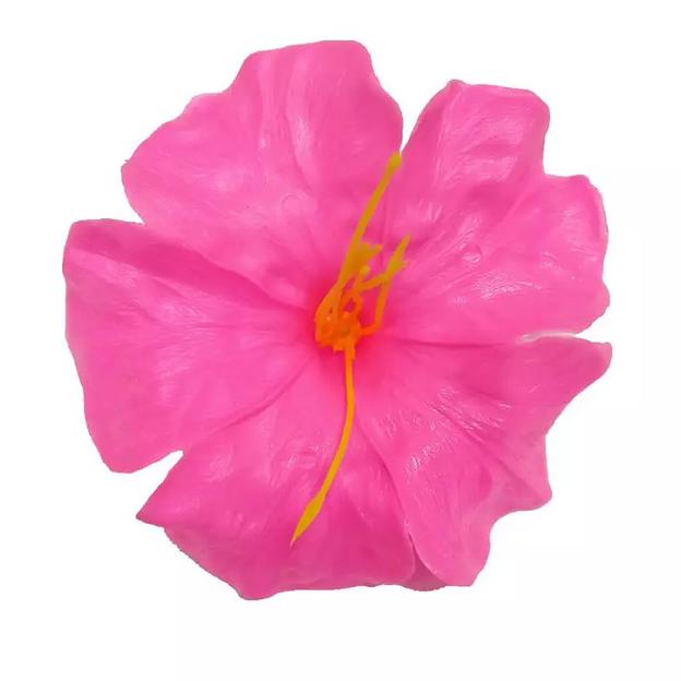 Головка лилии волнистой 9см фото 3