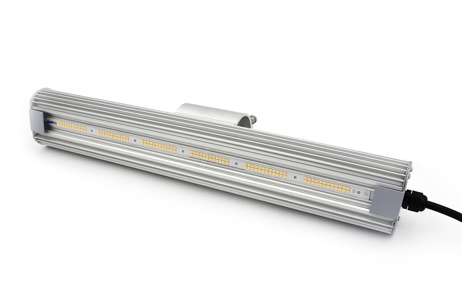 Светильник уличный ДКУ 40-50-КШМ ОПТ фото 1