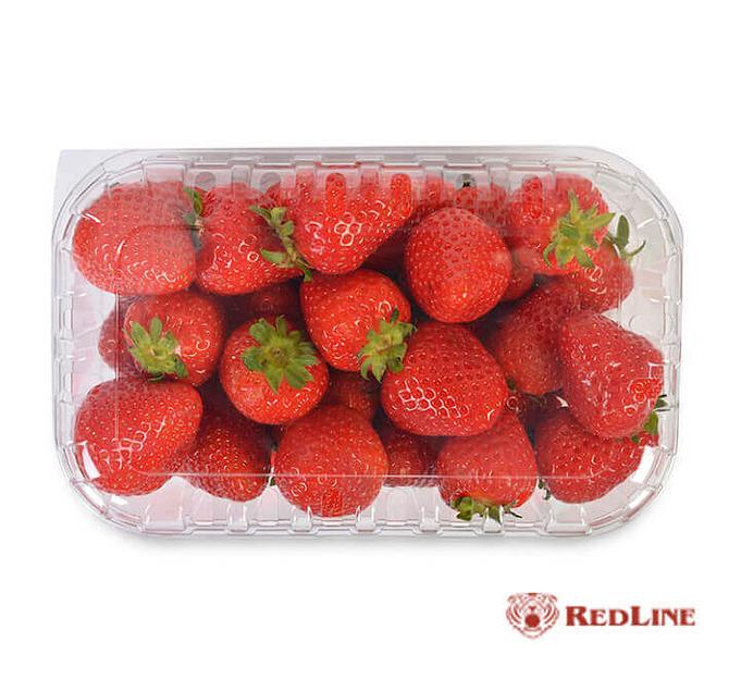 Контейнер с крышкой (ракушка) RedLine прозрачный, 500 г ОПТ фото 2