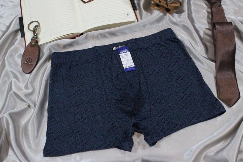 Трусы мужские боксеры p-p 46-54 Арт. А9725-1 BARS бамбук (к.10105) фото 1