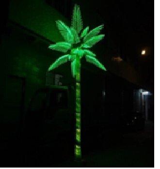 Пальма 5,5*4,0 м фото 1