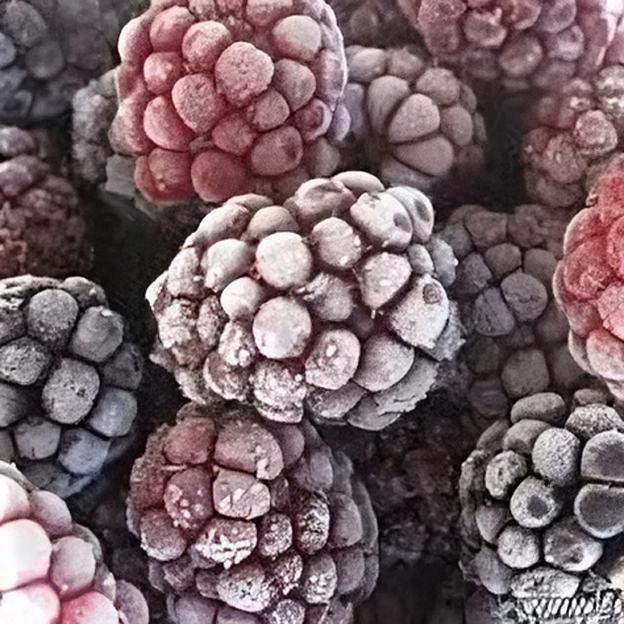 Ежевика замороженная опт фото 1