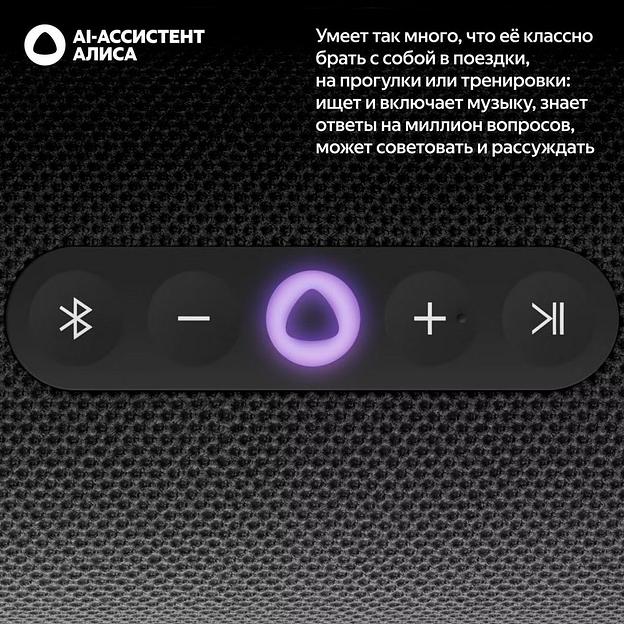 Портативная умная колонка Яндекс Станция Стрит с Алисой, 30 Вт, YNDX-00030BLK, чёрный фото 3