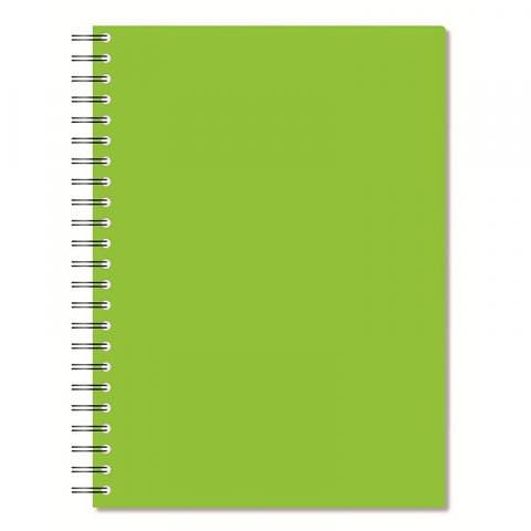 Бизнес-тетрадь на спирали А4, 96 л., клетка, тонированный блок, салатовый, Attache Bright Colours фото 1
