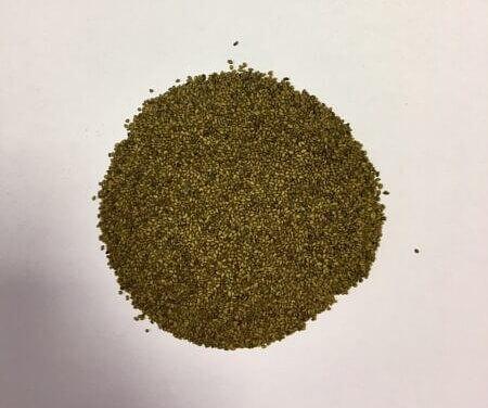 Семена Люцерны «Вега 87 РС-2» опт фото 1