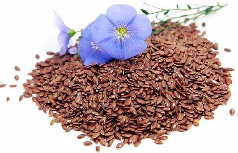 Семена сортов масличного льна «РФН» фото 1