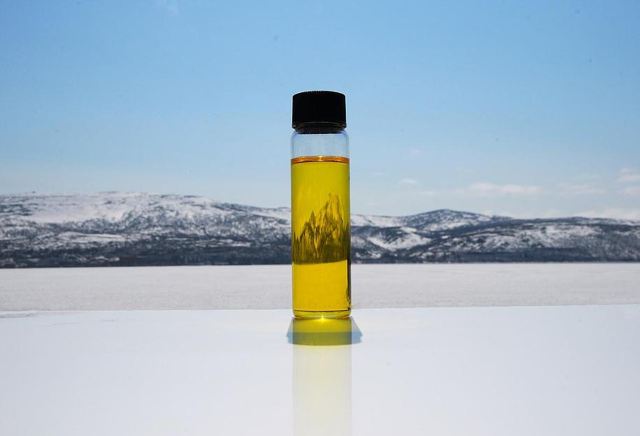 Пищевой рыбий жир rTG 4020 с ПНЖК не менее 65% фото 1