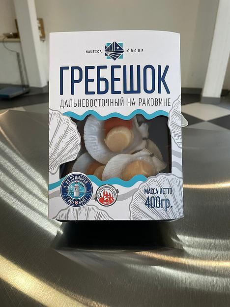 Гребешок на раковине лоток 400 г опт фото 3
