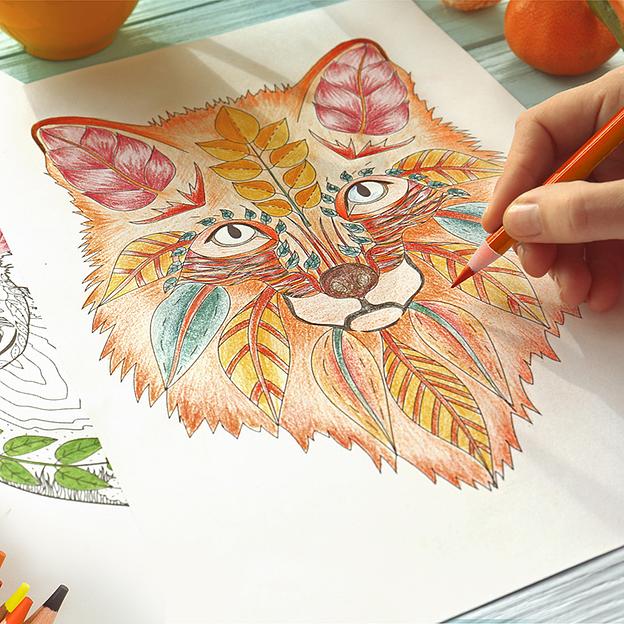 Карандаши цветные Deli 6567 липа 48цв. цветной корпус мет.кор. фото 6