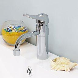 СМ-Т26/СПИРЕЯ (Ригель-Сиб) фото 1