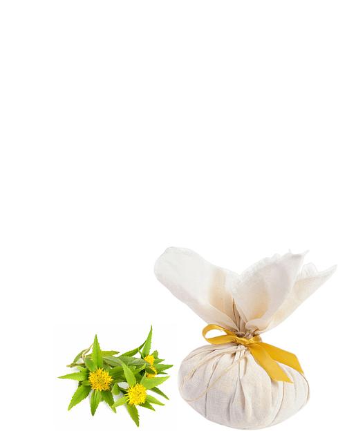 Травяные мешочки для ванн «Очищение» (кожная) 100 г опт фото 1