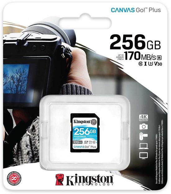 Флеш карта SDXC 256Gb Class10 Kingston SDG3/256GB Canvas Go! Plus w/o adapter фото 3