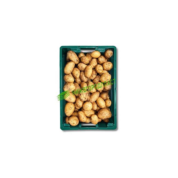 Ящик сплошной № 2, грузоподъёмность до 35 кг, морозостойкий фото 4