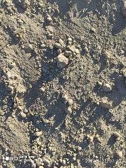 Вскрышной грунт 0-50 фото 1