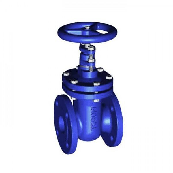 Задвижка чугун V4246 Ду 80 Ру16 Тмакс=150C фл Tecofi V4246-0080 фото 1