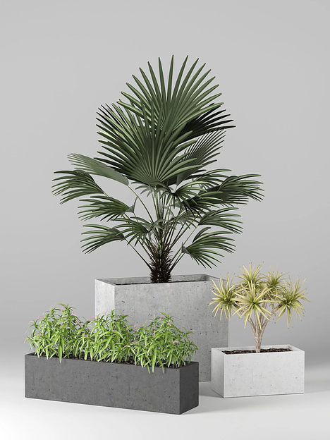 Цветочный вазон СтаркБет «Пилея средняя» 20 л ОПТ фото 1