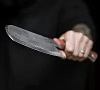 Тяпка №16 из стали 95Х18 фото 1