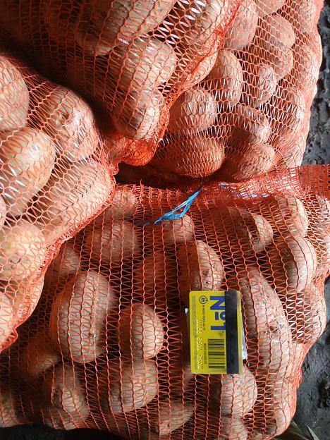 Картофель продовольственный фото 2