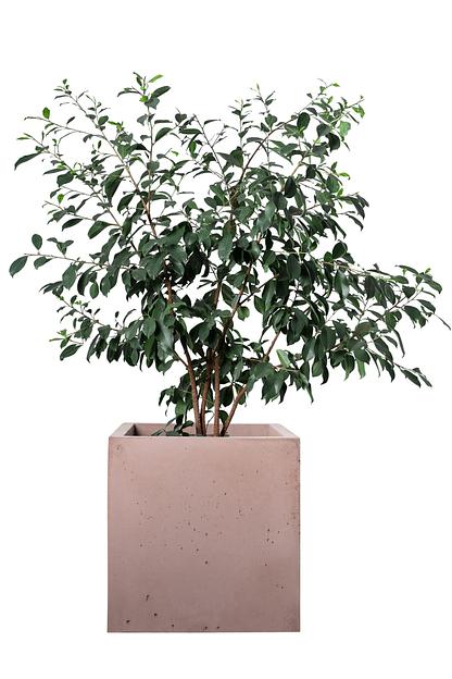 Цветочный вазон СтаркБет «Вербена малая» 19 л ОПТ фото 7