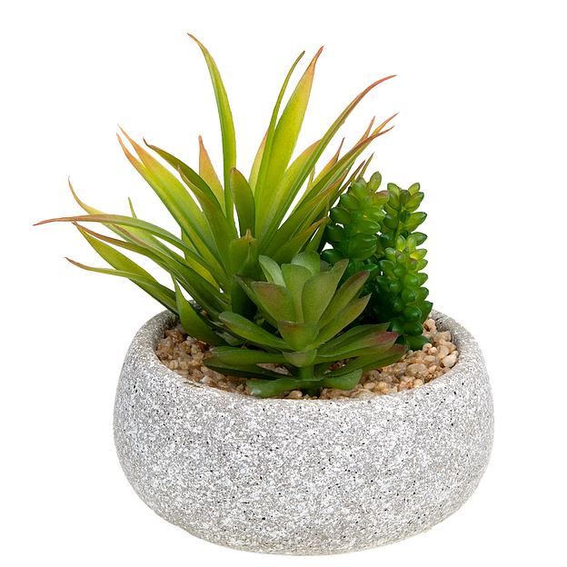 Суккулент в цементном горшке, Д125 Ш125 В150 фото 1