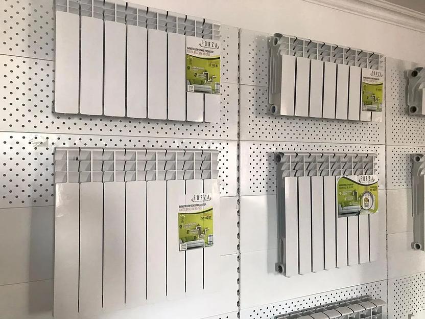 Биметаллический радиатор отопления Forza Base BM 80/500 фото 1