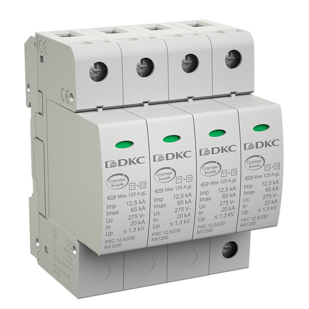 УЗИП, класс I+II, 2-полюсный, L-N-PE, 12 фото 1