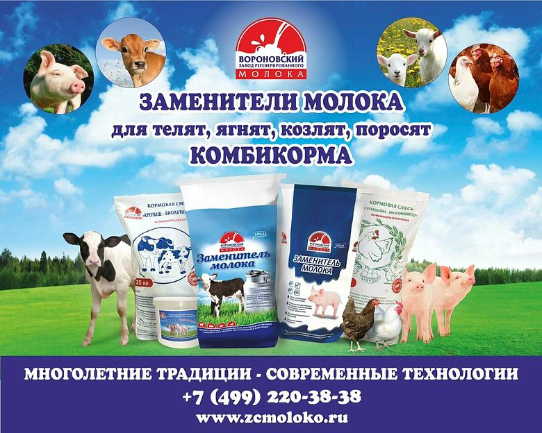 «Крепыш-биоактиватор» престартерный корм для ягнят и козлят до 4 месяцев ОПТ фото 2