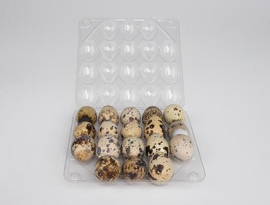Контейнер Коррекс для перепелиных яиц на 18 штук ОПТ фото 2
