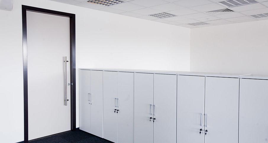 Двери NAYADA ламинированные под заказ фото 7