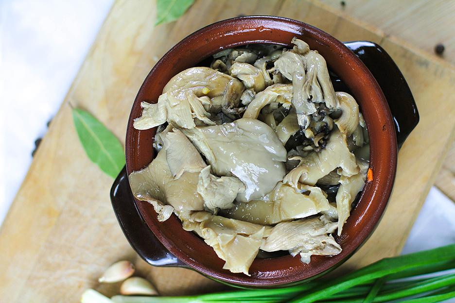 Грибы «Вешенки» ОПТ фото 3