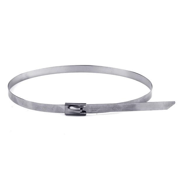 Dkc 27406 Хомут из нержавеющей стали AISI 304 4,6х300 ( 50 шт в уп) фото 1