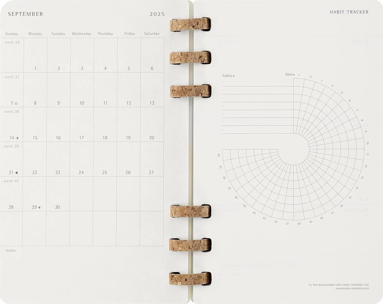 Еженедельник Moleskine ACADEMIC SPIRAL DSSPB12AMWH3 Large 150х210мм 200стр. кремовые страницы спираль черный фото 10