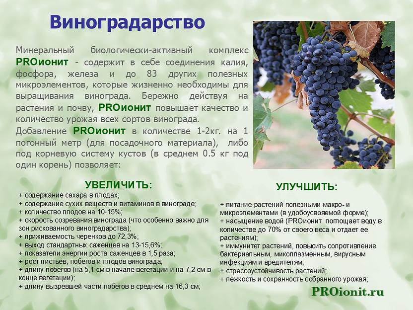 PROионит PROionit Кондиционер почв с Микроэлементами фото 5