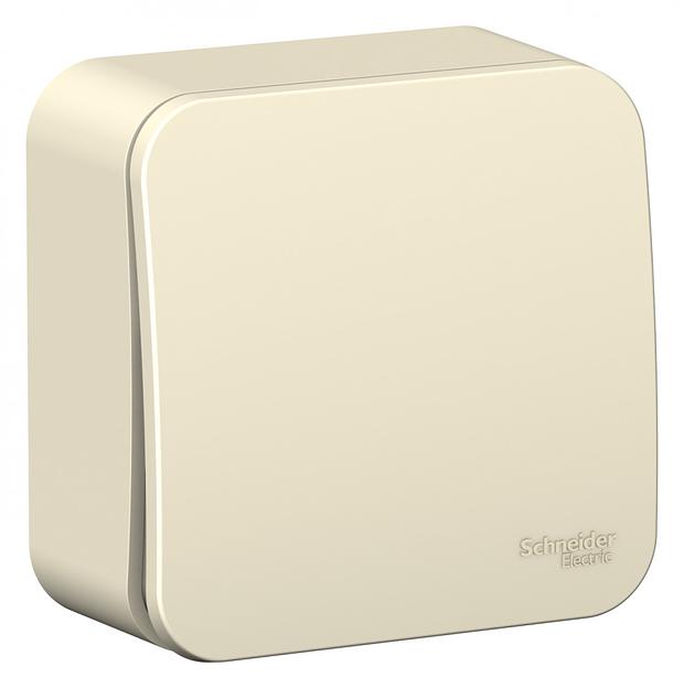 Systeme electric BLNVA061012 BLANCA О/У 1-клавишный ВЫКЛЮЧАТЕЛЬ ( c х.1) ИЗОЛ.ПЛ., 6А, 250В, МОЛОЧНЫЙ фото 1